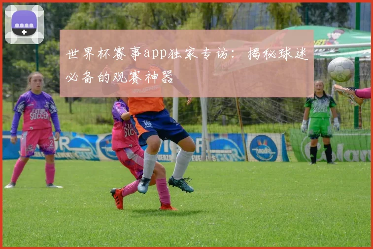 世界杯赛事app独家专访：揭秘球迷必备的观赛神器