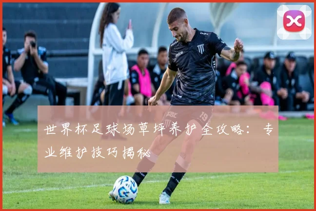 世界杯足球场草坪养护全攻略：专业维护技巧揭秘