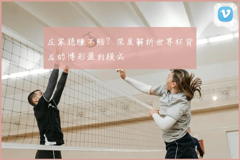 庄家稳赚不赔？深度解析世界杯背后的博彩盈利模式