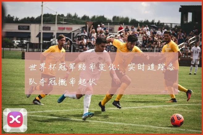 世界杯冠军赔率变化：实时追踪各队夺冠概率起伏